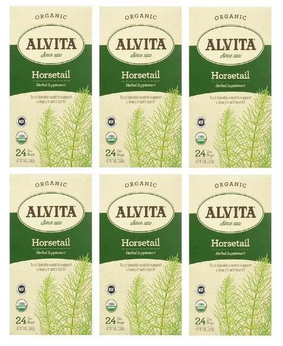 Alvita Organic Tea Horsetail, 24 Count N2