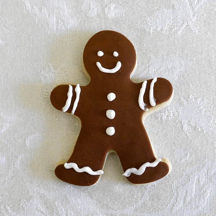 Gingerbread Man Cookie Cutter- Stainless Steel N5