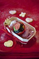 Silikomart Mini Cookie Cutters with Spring Ejection Feature, Set of 4, Assorted Christmas N25