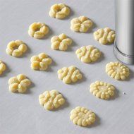 Cookie Press Kit, AmyTalk Stainless Steel Biscuit Press Set Includes 20 Discs &amp; 4 Icing Tips,Best Christmas Spritz... N6