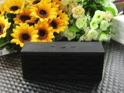 PowerLead Pspe P001 Bluetooth Speaker with Dual Drivers, Touch-Sensitive Controls, and Stereo Bass sound for Cell... N10