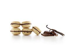 1 X Silicone Macaron macaroon Baking Sheet Mat Muffin DIY Chocolate Cookie Mould Mode - 48 Capacity