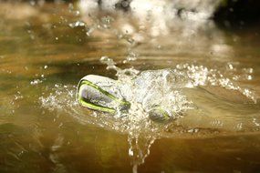 Waterproof IPX7 Wireless Bluetooth 4.1 Outdoor Speaker, Marine and Waterproof Bluetooth Speaker for iPhone, Android... N34