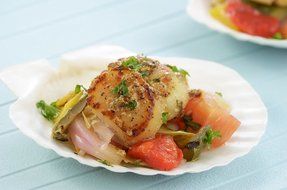 Irish Baking Scallop Shells N3