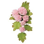 PME Cutters, Carnation, 3-Pack N2