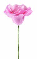 Wilton Gum Paste Rose Bases, 24-Pack