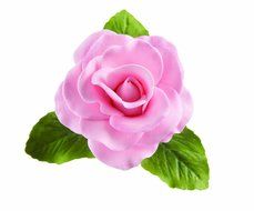 Wilton Gum Paste Rose Bases, 24-Pack N2