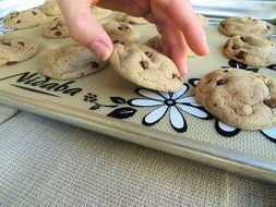 Nidaba Non-Stick Silicone Baking Mat- Half Sheet - Botanic Design N6