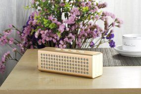FSTgo A91 Mini Portable Wireless Bluetooth Speaker, Loud Volume 20W+, Built-in 4400mA Battery, Power Bank, Water... N8