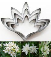 KOOTIPS 2 Pcs/Set of Hibiscus Flower Cutter Decor Fondant Cake Cutters for Stainless Steel (Hibiscus) N22