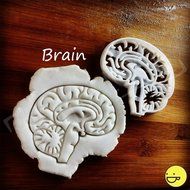 Brain Cookie Cutter N2