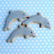 Dolphin Cookie Cutter- Stainless Steel N4