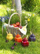 Le Creuset Stoneware 15-Ounce Honey Pot, Dijon N7