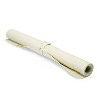 Joseph Joseph Silicone Non-Slip Pastry Mat with Measurements, Roll-Up, Green N10