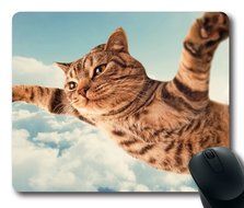 Belkin Standard 7.9''x9.7'' Mouse Pad (Gray) N36