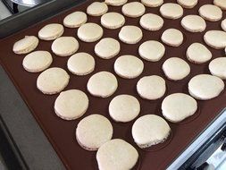 Happyhomin 48-Capacity Silicone Macaron Macaroon Mat Fondant Oven Baking Mat DIY Sheet Cake Molds N4