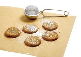Norpro 3568 Sugar and Flour Duster N2