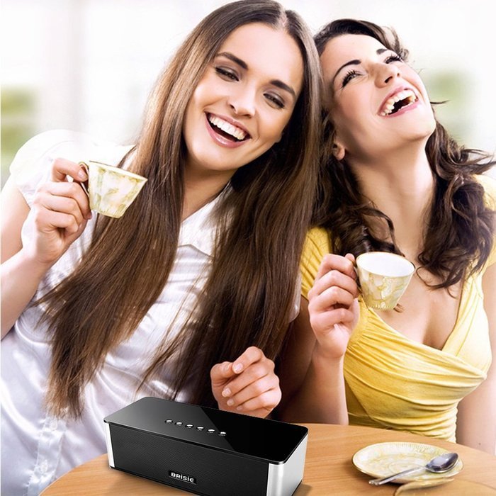 Brisie Portable Versatile Wireless Hi-Fi Bluetooth Speaker with Built-in Mic, 10W Output with Enhanced Bass, Premium... N7