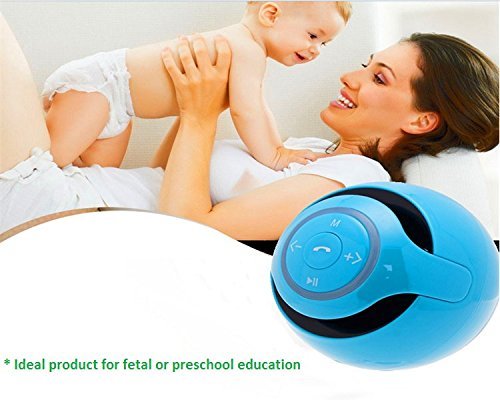 Wireless Bluetooth Speaker with Microphone for Hands Free Phone Call N6