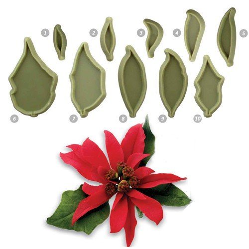 JEM Poinsettia N2