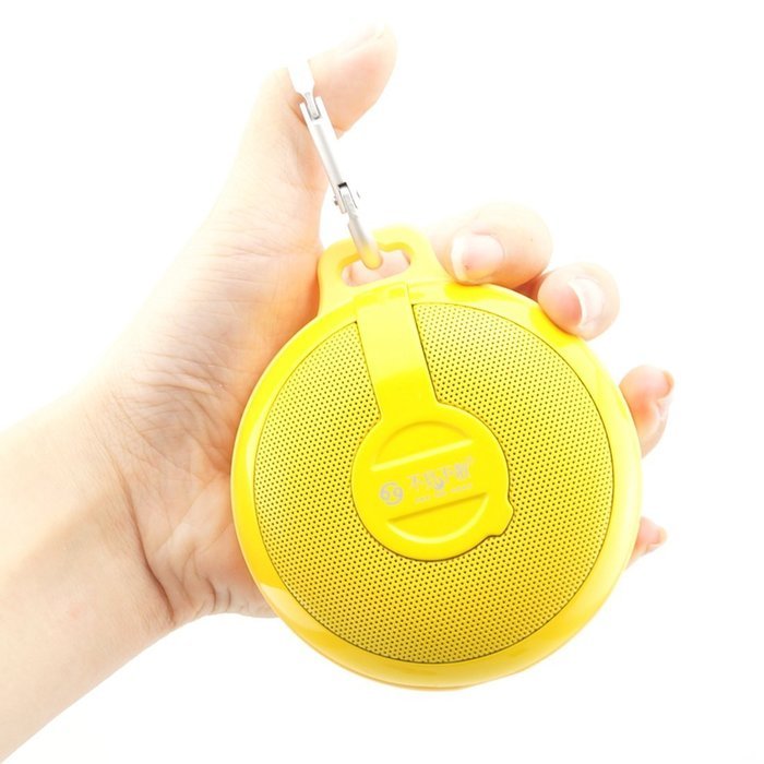Bluetooth Speakers, GranVela BV210 Wireless Mini Waterproof and dustproof, Popular Brands of Outdoor Portable... N14