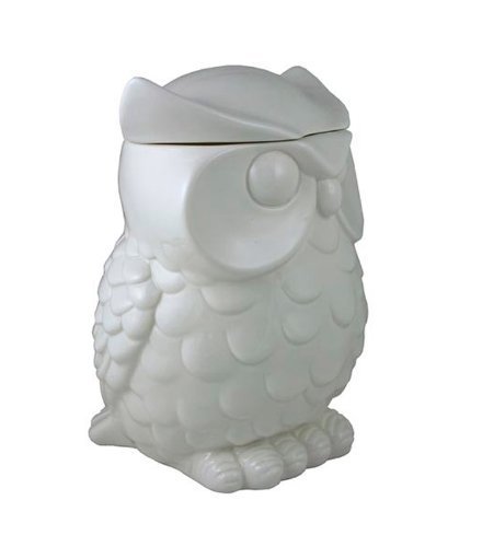 Streamline Owl Cookie Jar N2