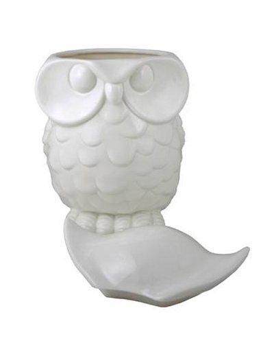 Streamline Owl Cookie Jar N4