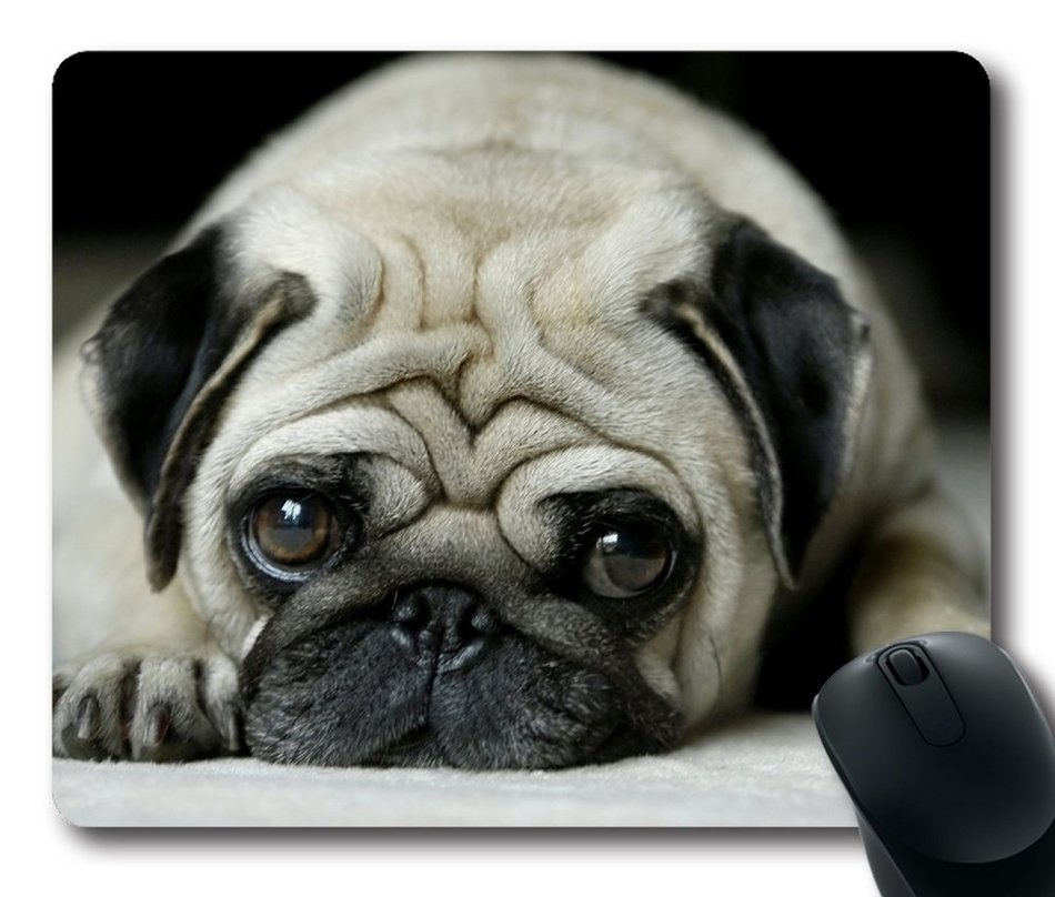 Belkin Standard 7.9''x9.7'' Mouse Pad (Gray) N2
