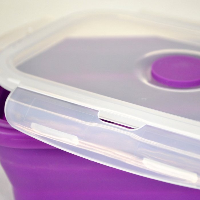 DII Silicone Collapsible, Airtight Food Storage Containers, Dishwasher & Microwave Safe, BPA Free, Snap On Lid... N2