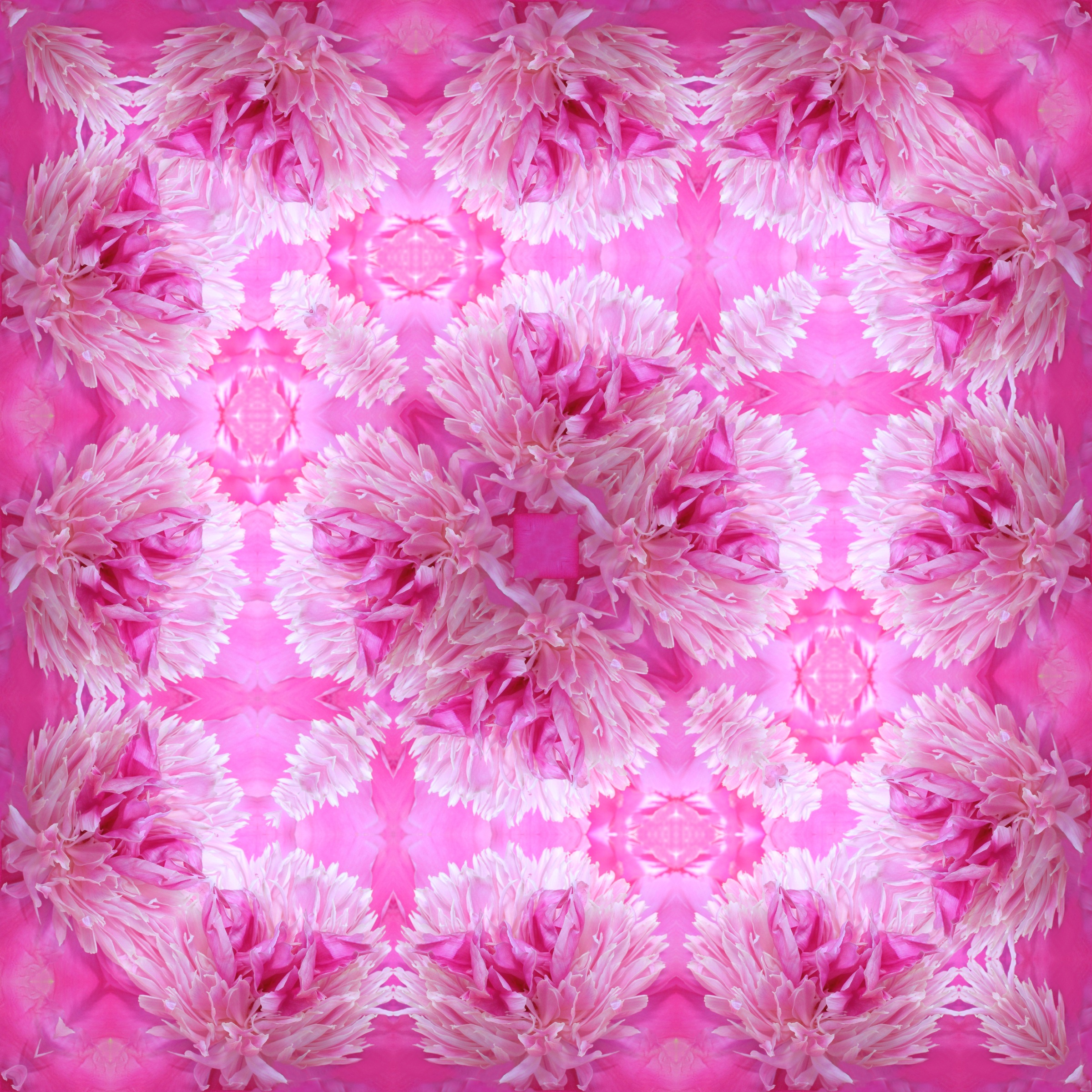 Paper for scrapbooking with pink flowers free image download