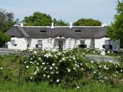 landscape of building in a beautiful garden in south africa