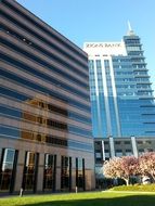 modern building with glass facade in the city center