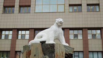 russia tatarstan kazan