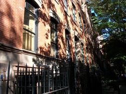 shadow of the trees on the facade of the building