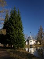 pine trees, a pond and architecture of the park in spring