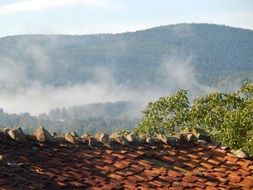 view from the roof to the foggy field