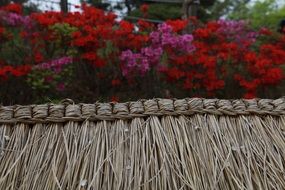 fence and bright flowers in a garden