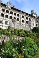 fluffy green bushes near a beautiful building
