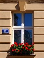 flower box at window of stone building, poland, krakow