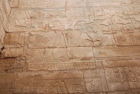 carved ancient walls in Luxor