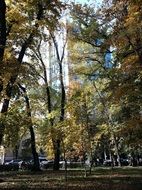 Landscape of city park in autumnal time