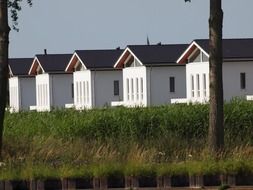 area with white identical houses