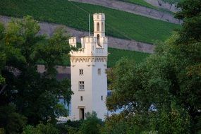 mouse tower bingen historically places