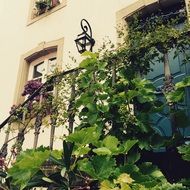 balcony in the winegrower's house