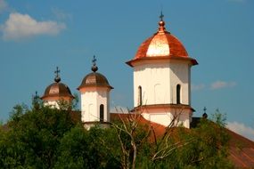 church with bronze domes and tree