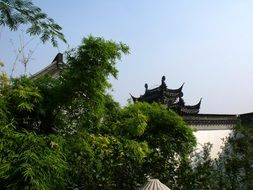 roof of a buddhist temple