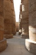 ancient temple columns in Luxor