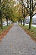 pavement on walk path in city at fall, sweden, gothenburg