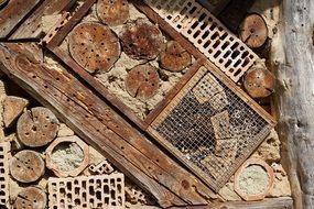 home for insects