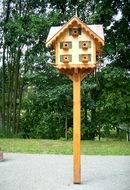 beautiful insect house